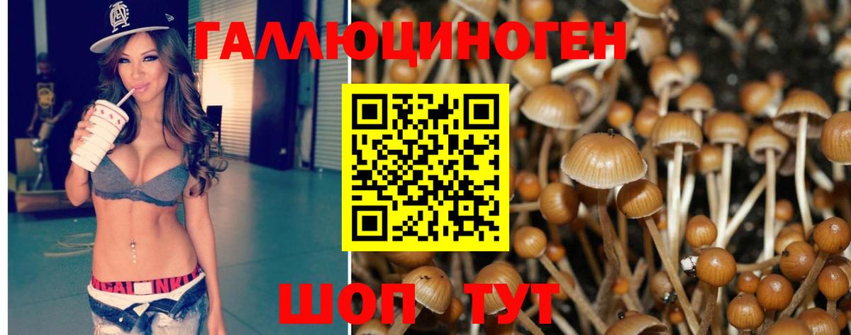 Петровск  купить наркоту  Вход с VPN  Галлюциногенные грибы GOLDEN TEACHER 